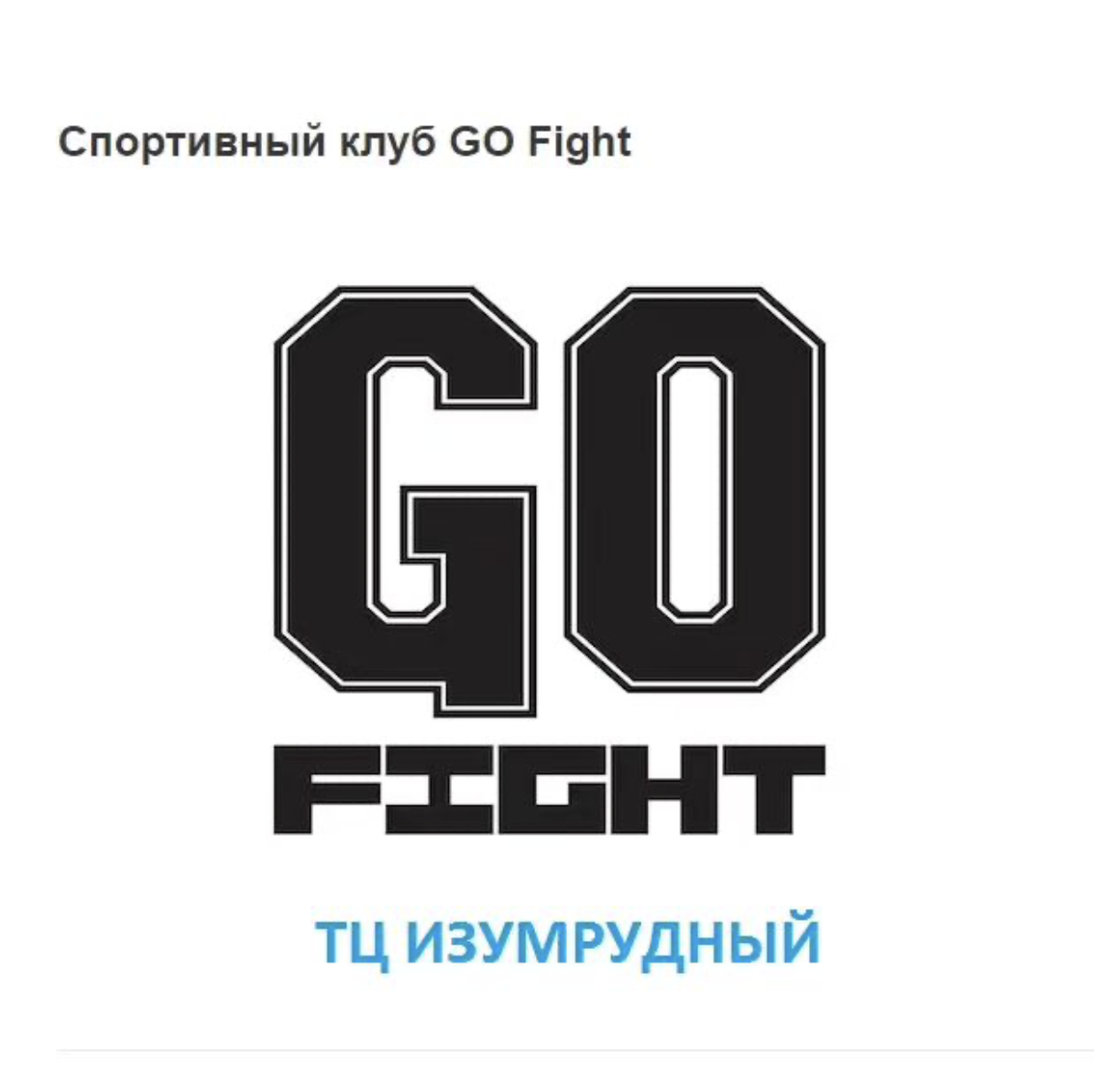 GO FIGHT 